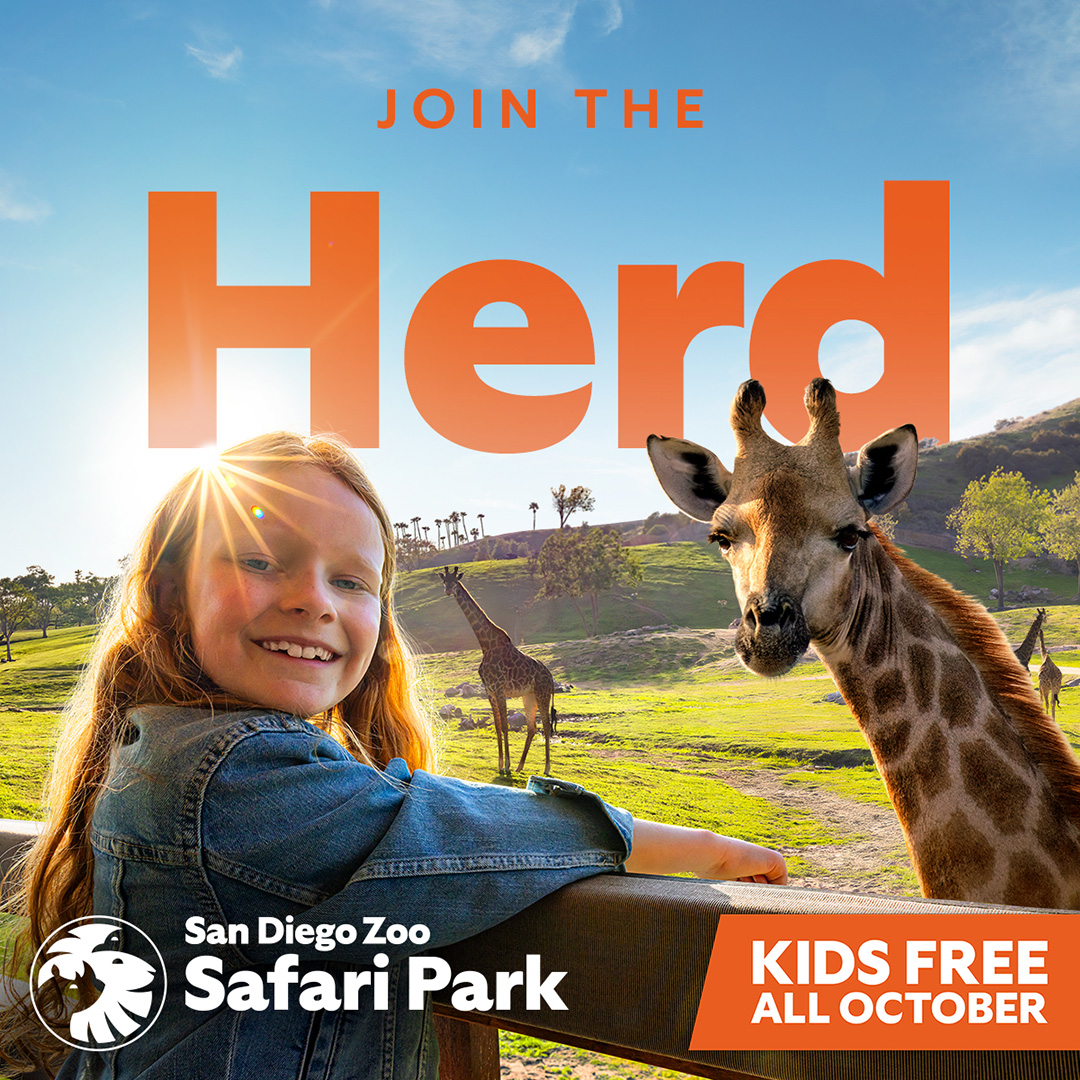 Win tickets to Sn Diego Zoo Safari Park