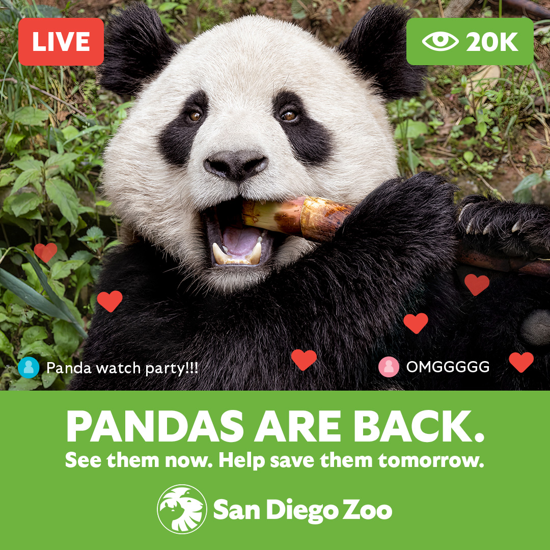 Win tickets San Diego Zoo