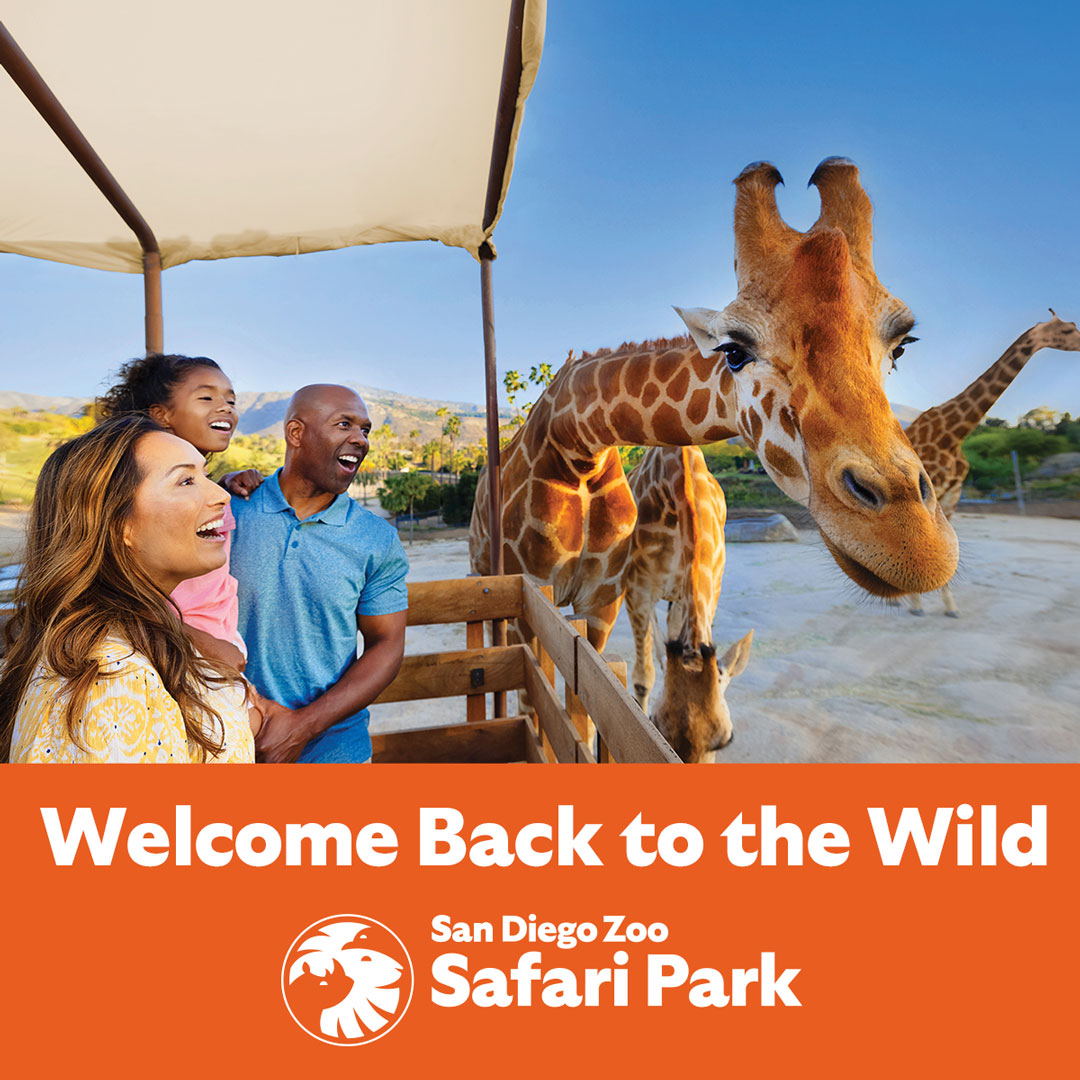 Win tickets to San Diego Zoo Safari Park